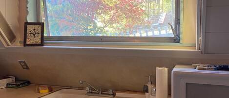 A kitchen with a window, sink, microwave, and cabinets.