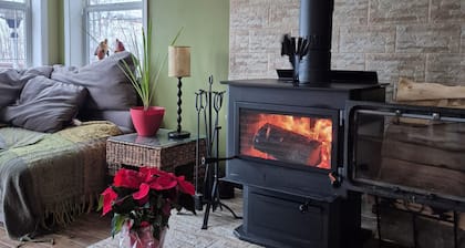 Cozy Lakefront Cabin Family & Pet Friendly fire pit, wood stove, 2 kayaks/CANOE