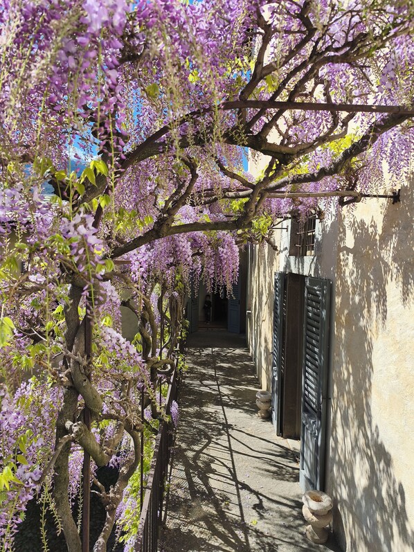 Terrain de lâhĂ©bergement