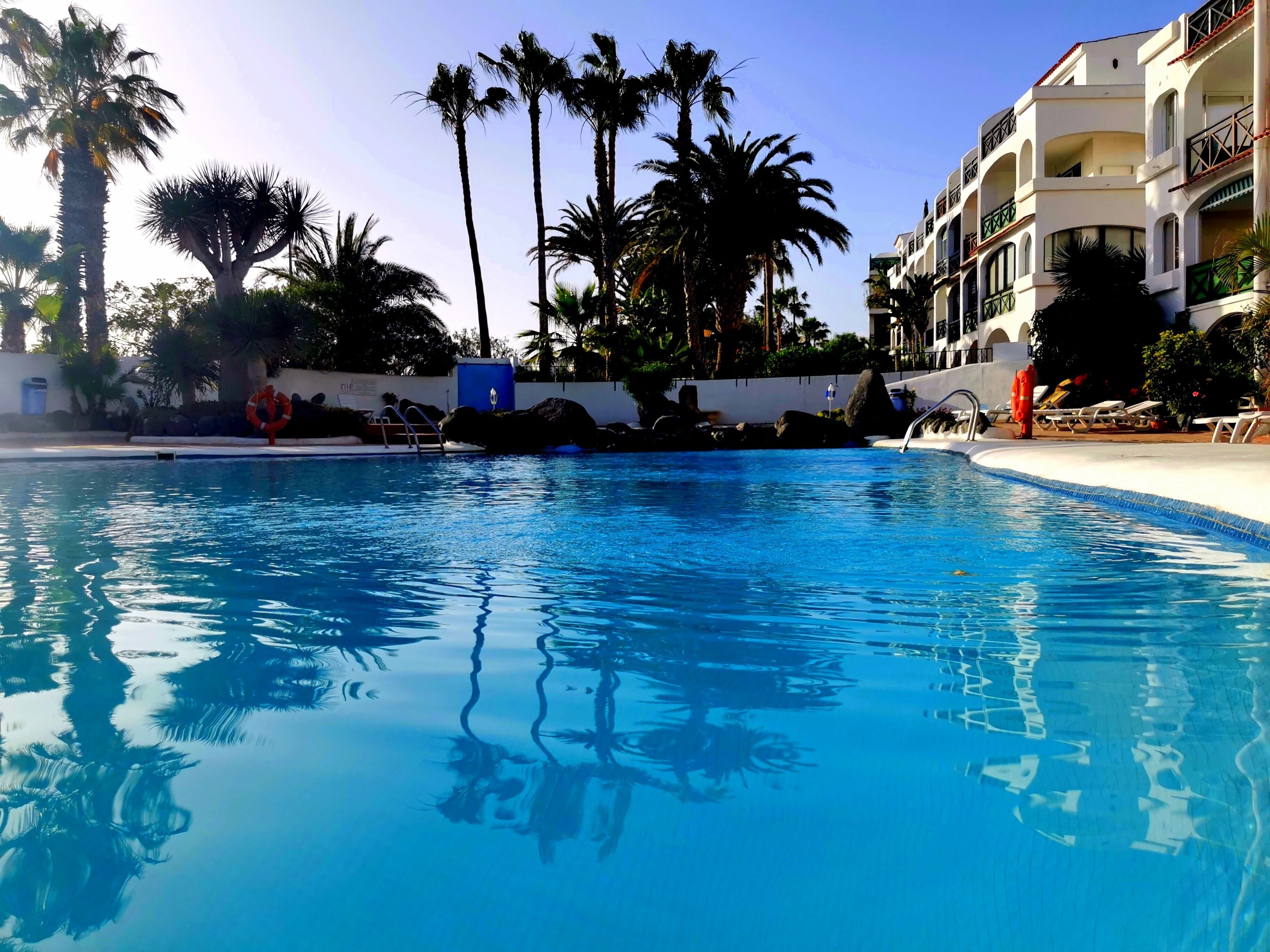 Una piscina con agua cristalina, rodeada de palmeras y un edificio con balcones.
