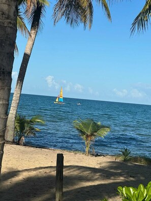 Playa