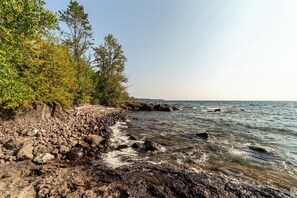 A rocky shoreline with trees and a clear view of the water.