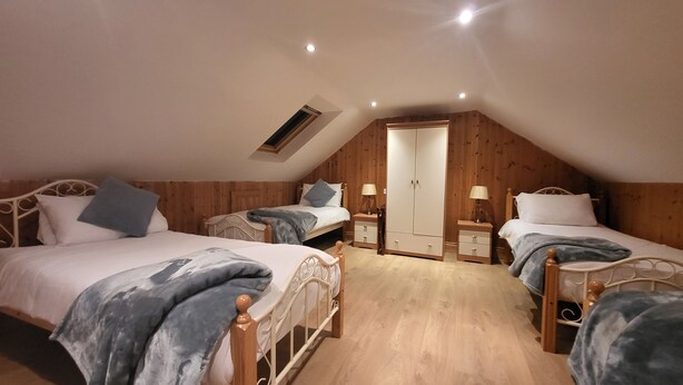 A bedroom with two beds, a wardrobe, and a skylight. - STRUTHAN BEAG DINGLE (Dingle)