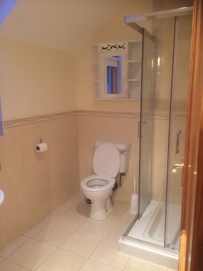 Bathroom - Beautiful house only 10 minute walk to Dingle town and all its amenities. (Dingle)