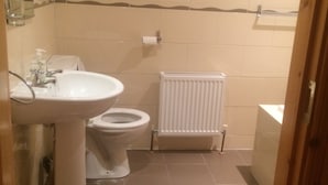 A bathroom with a sink, toilet, and radiator. - STRUTHAN BEAG DINGLE (Dingle)