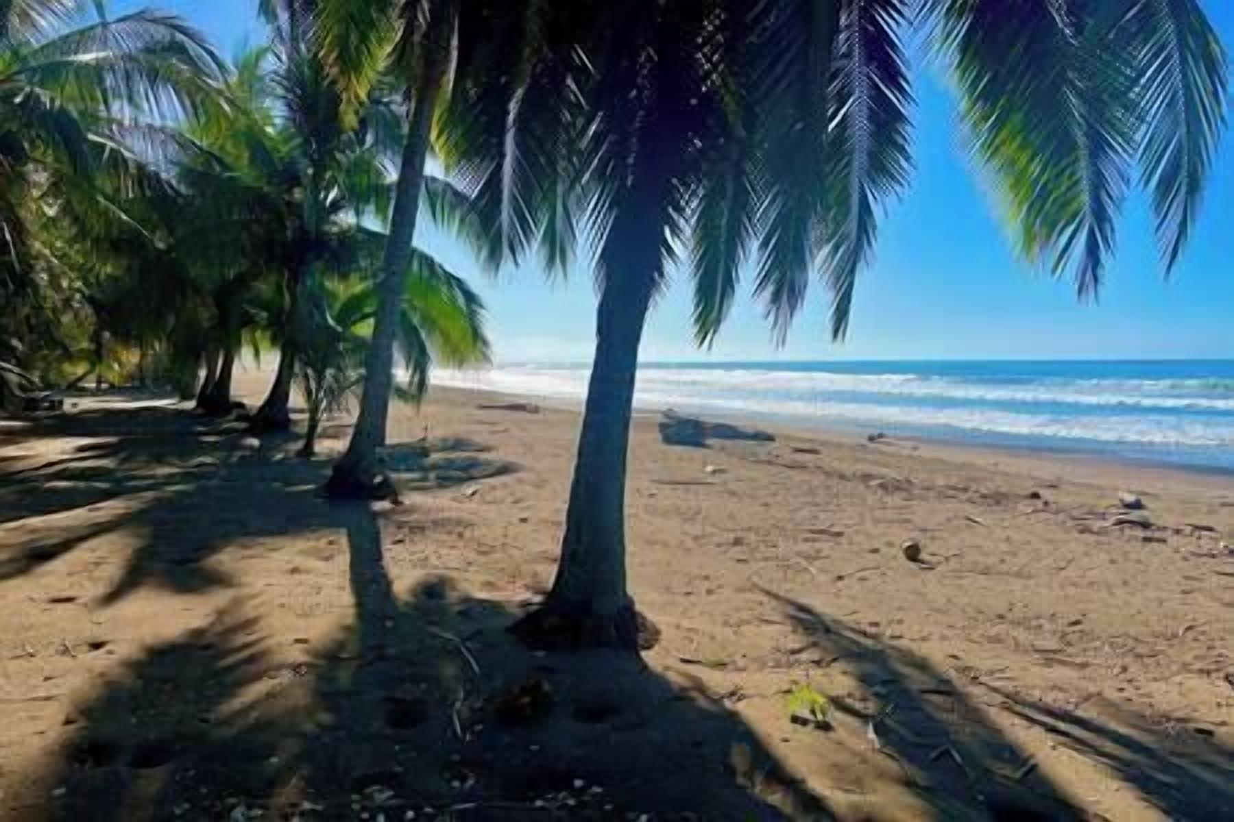 Sun loungers, beach towels