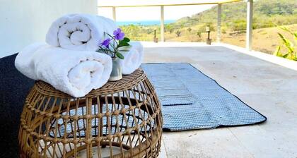 3 Homes | 3 Private Pools | Ocean View Property