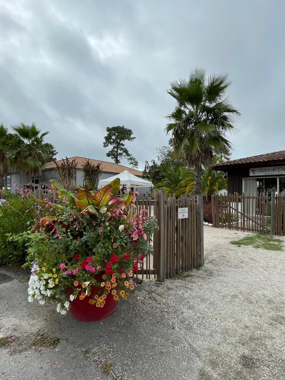 A garden area with a variety of plants and a wooden fence.