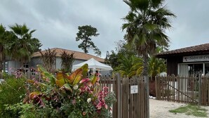 Un'area giardino con diverse piante e un recinto in legno.
