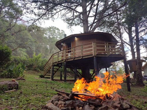 Quemeninho Treehouse - an Atlantic Forest refuge in the heart of PETAR