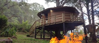 Quemeninho Treehouse - an Atlantic Forest refuge in the heart of PETAR
