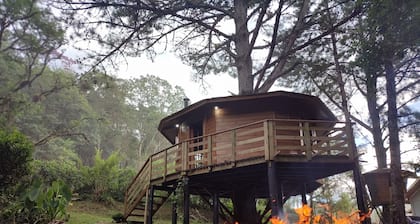 Quemeninho Treehouse - an Atlantic Forest refuge in the heart of PETAR