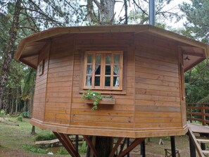 Exterior - Quemeninho Treehouse - an Atlantic Forest refuge in the heart of PETAR (Apiaí)