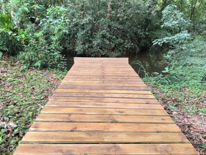 Property grounds - Quemeninho Treehouse - an Atlantic Forest refuge in the heart of PETAR (Apiaí)