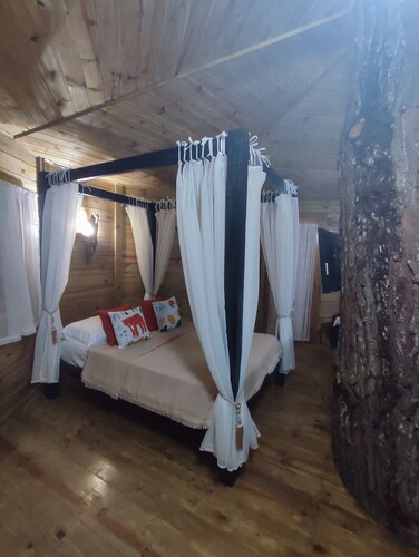 Quemeninho Treehouse - an Atlantic Forest refuge in the heart of PETAR