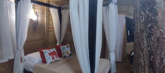 Quemeninho Treehouse - an Atlantic Forest refuge in the heart of PETAR