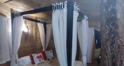 Quemeninho Treehouse - an Atlantic Forest refuge in the heart of PETAR