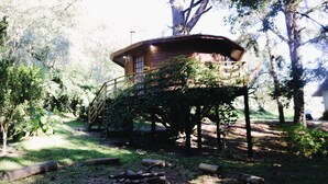 Una casa en un árbol con una terraza de madera y una escalera que lleva hasta ella, rodeada de árboles y follaje.