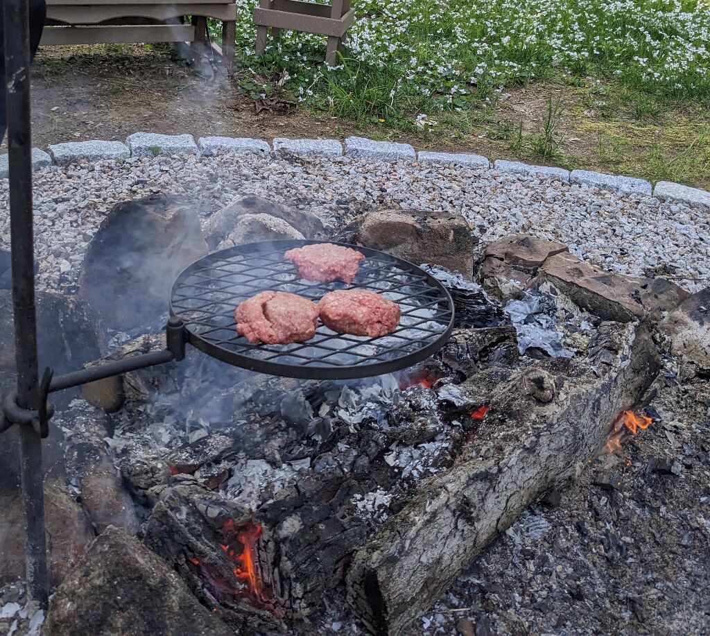 A grill with meat over an open fire.