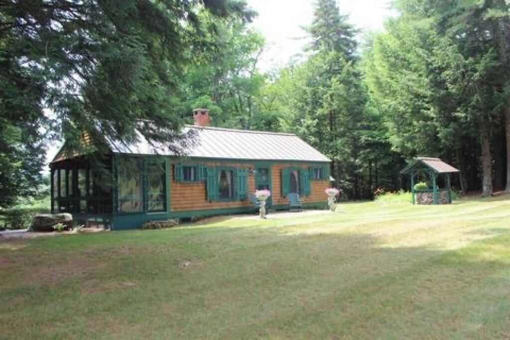 A rustic cabin with a metal roof, surrounded by dense forest.