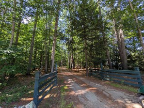 A forested area with a gravel path leading through tall trees.