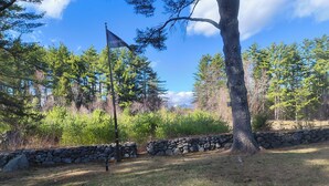 Un muro de piedra, un asta con una bandera y un árbol en un entorno natural.