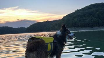 Aceita animais de estimação