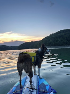 Pet-friendly - Private Lake Retreat Near Lake Cumberland Marina – Sleeps 10 / 20 Secluded Acres (Russell Springs)