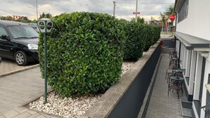 Un camí delimitat per setges, un rètol de McDonald's i una botiga TESCO al fons.