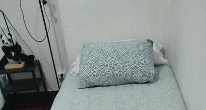 Comfortable apartment near downtown