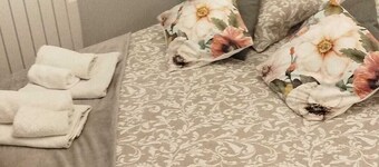 Comfortable apartment near downtown