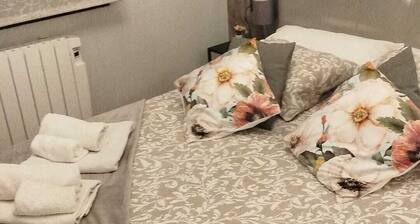 Comfortable apartment near downtown