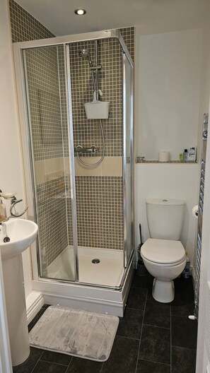 Hair dryer, towels, soap, toilet paper - Newquay Detached Holiday Coach House with one parking space (Newquay)