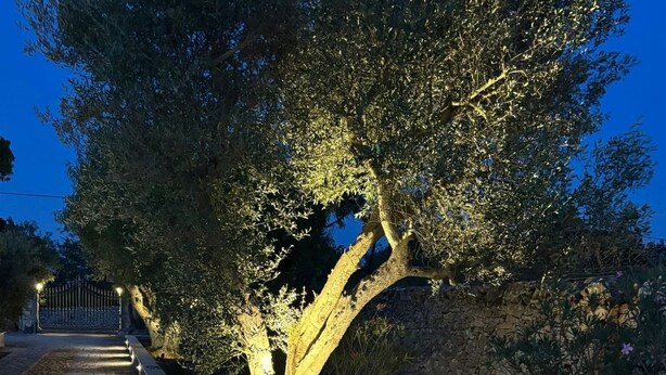 A pathway lined with trees and a stone wall, leading to a gated entrance. - Il Villino - Luxury Country House, a luxury retreat between nature and tradition (Puglia)