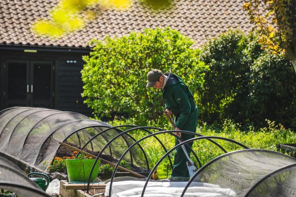 Ett växthus med växter och en person som sköter om dem.