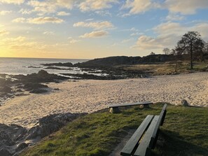A beach with a bench, rocky shoreline, and a tree. - Lovely holiday apartment near centre (Allinge)
