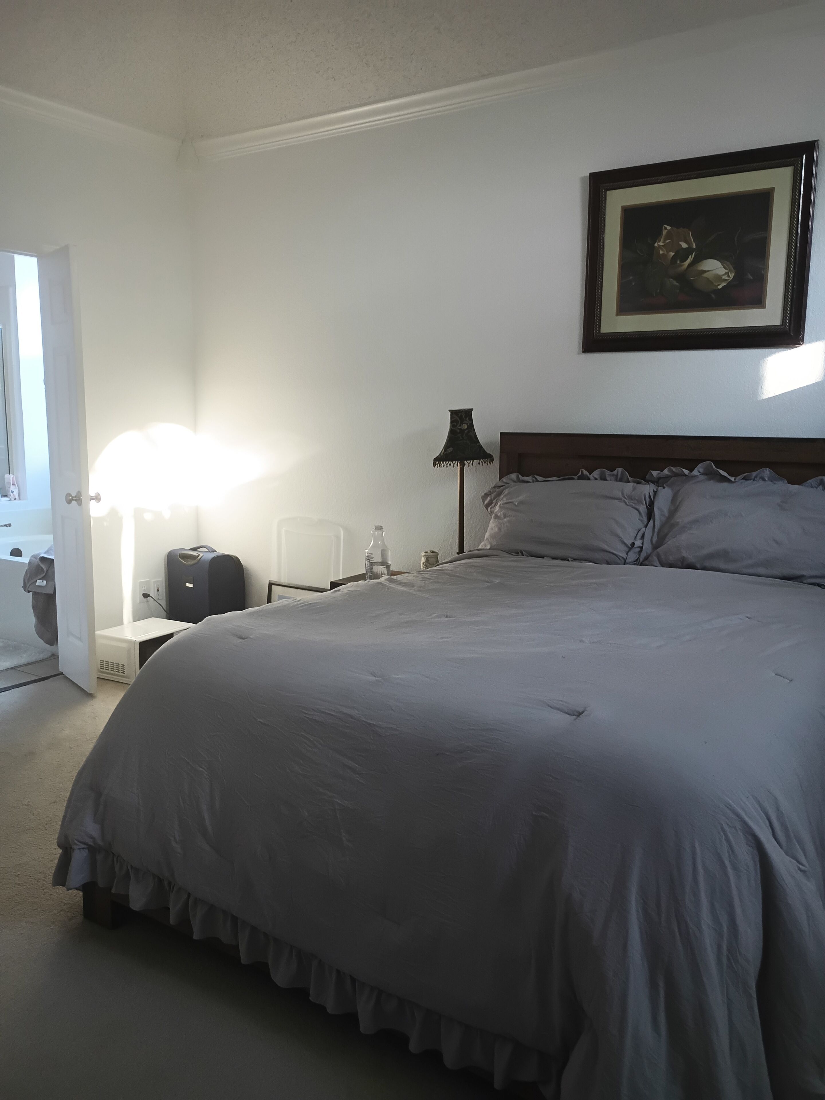 Un dormitorio con cama, lámpara de noche, un cuadro en la pared y maleta en el suelo.