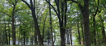 Rustic, lake-side, 4-bedroom cabin at Oak Grove Resort