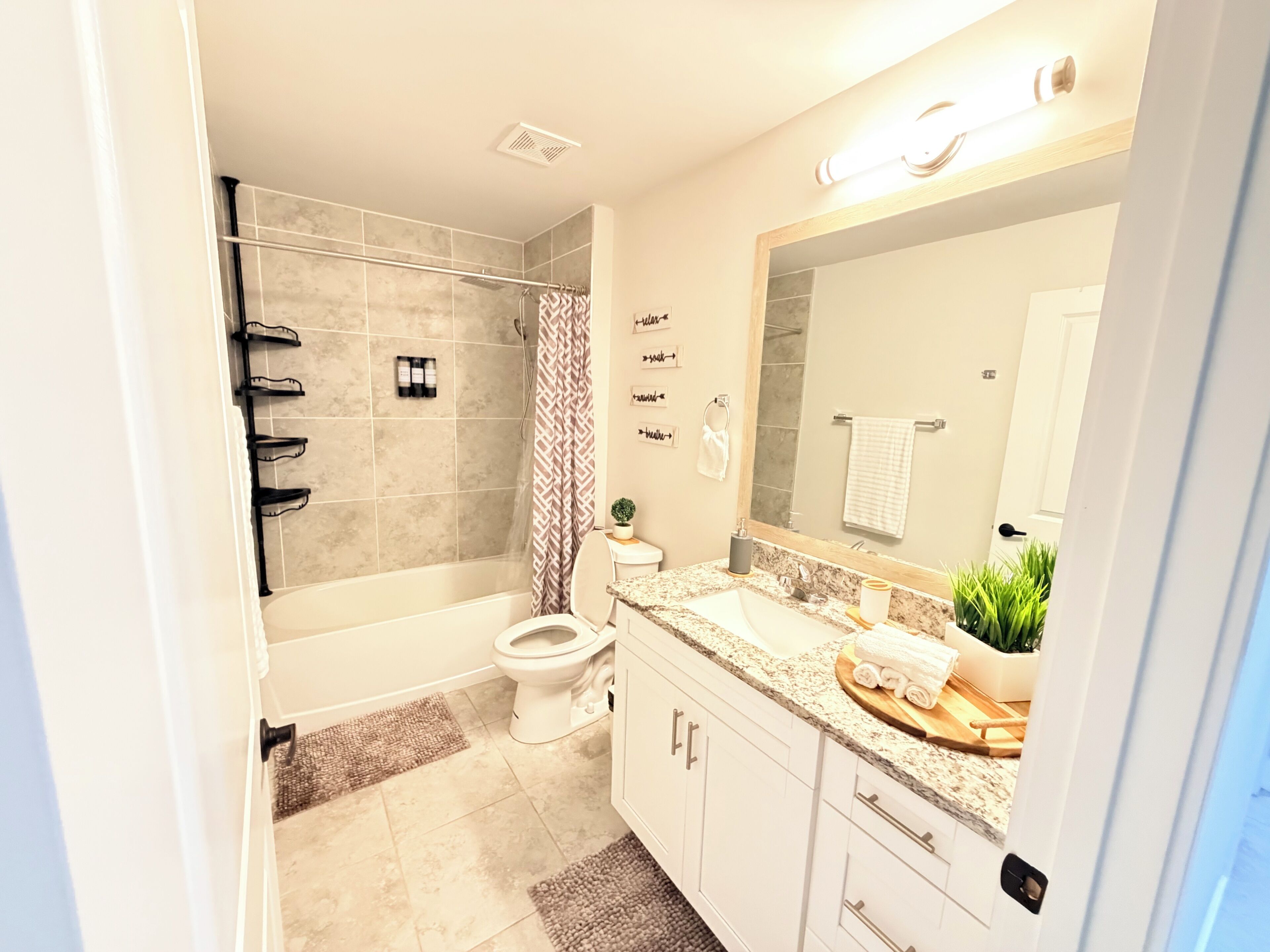 Hair dryer, towels, soap, toilet paper