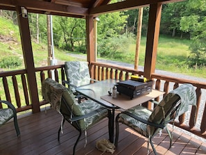 Outdoor dining - Adorable 1-bedroom cabin in fabulous Glenville with cool AC. (Glenville)