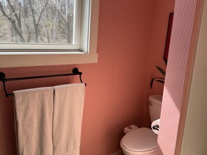 Shower, hair dryer, towels, soap - NFL draft-ready 25 mi to stadium2-bedroom cottage in beautiful Harrison City (Harrison City)