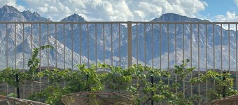 Saddlebrooke Relaxing Mountain Retreat - Entire Guest House Wing - Swimming Pool