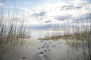 On the beach - Oceanfront Escape: Coastal Views in Heart of KDH! (Kill Devil Hills)