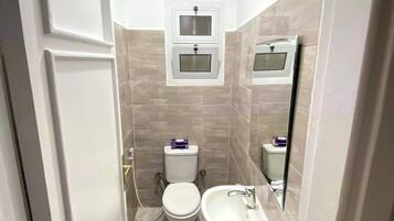 Hair dryer, towels, soap, toilet paper