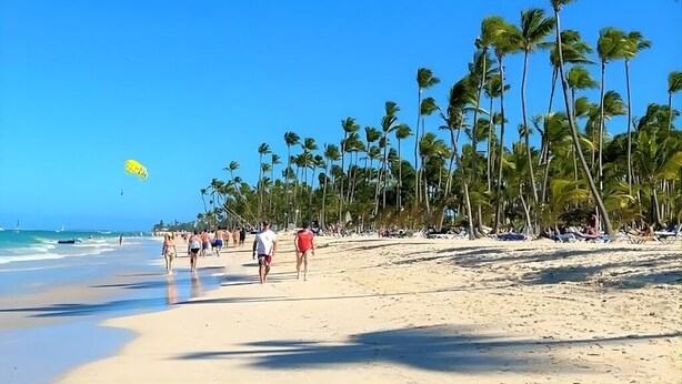 Een strand met palmbomen en mensen die wandelen.