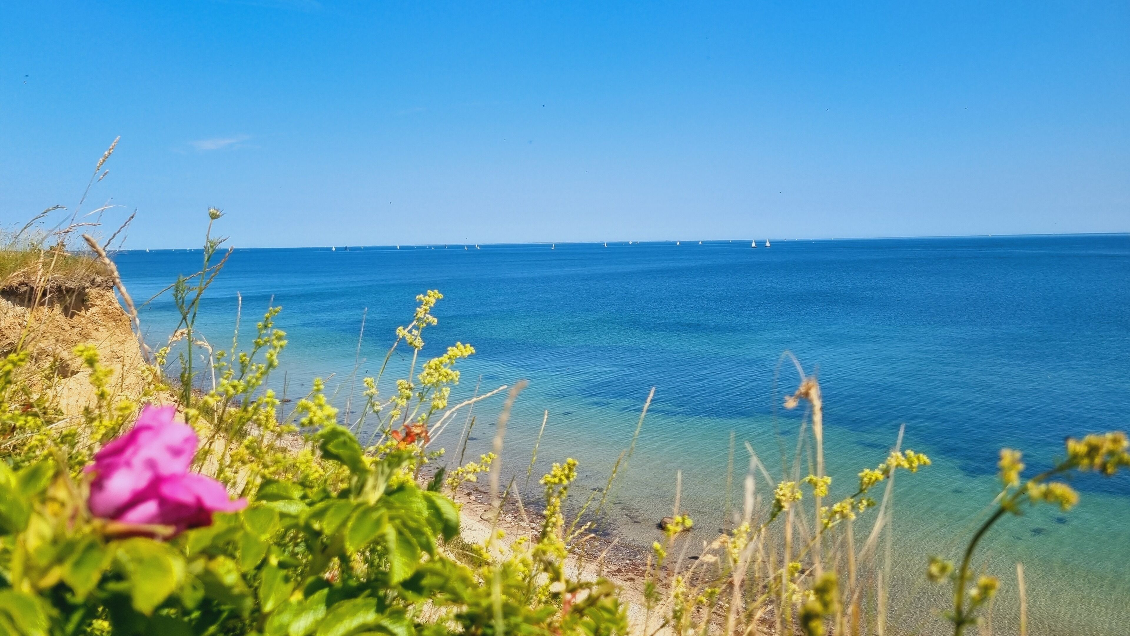 In Strandnähe, Liegestühle
