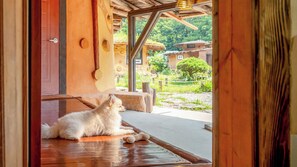 Basic-Zimmer, 1 Schlafzimmer (Starlight Pet Room (BBQ))