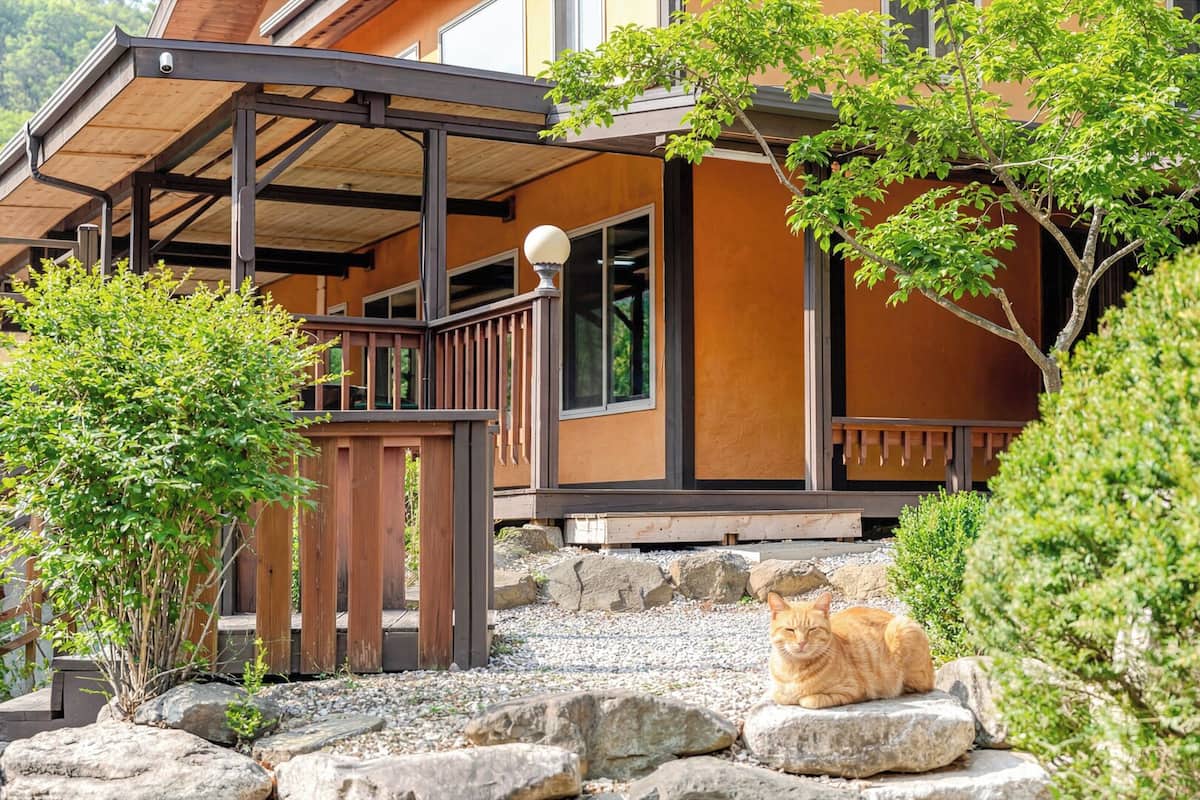 A building with a wooden deck, stone pathway, and a cat sitting on rocks.