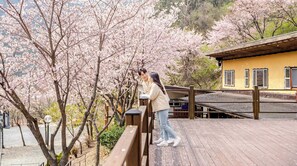 Basic Room, 1 Bedroom (Pine Breeze Duplex Pet Room (Terrace)) - Mungyeong Between Mountains Pet Pension (Mungyeong)