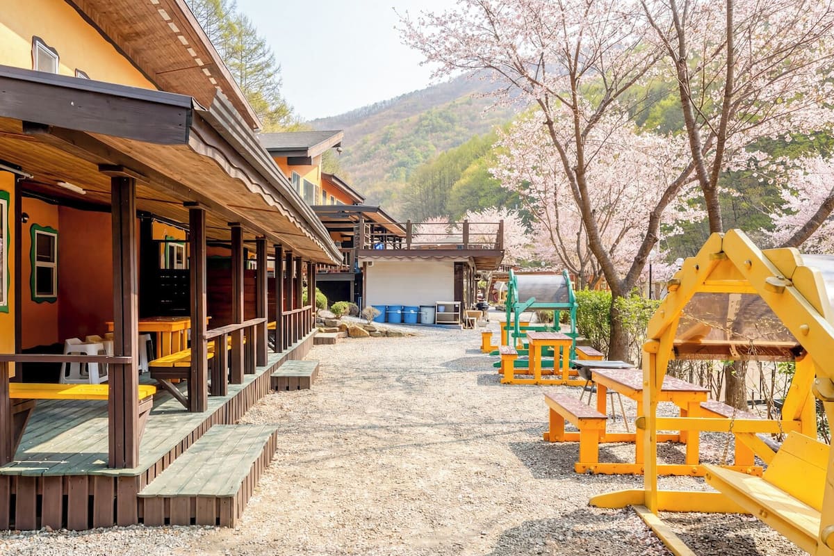 A row of wooden buildings with outdoor seating, a gravel path, and cherry blossom trees in the background.